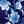 Navy Shadow Floral