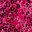 Pink Animal Hearts