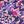 Purple Batik Blossom