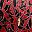 Red Cutout Floral