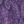 Purple Paisley