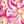 Pink Burst Paisley