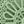 Green Mint