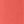 Sunset Coral