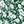 Green White