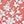 Pink Red Floral