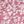 Pink White Floral