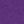 Purple Orchid