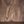 Rustic Brown