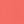 Sunset Coral