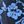 Navy Mono Floral