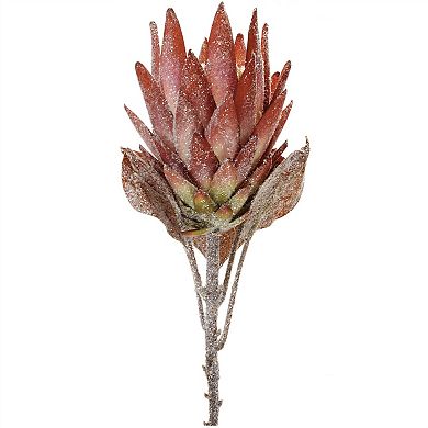 Stunning Seasonal Blooms - Protea Flower Stems; set of 2