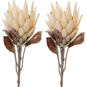 Stunning Seasonal Blooms - Protea Flower Stems; set of 2