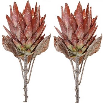 Stunning Seasonal Blooms - Protea Flower Stems; set of 2