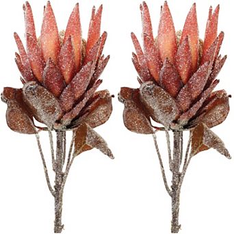 Stunning Seasonal Blooms - Protea Flower Stems; set of 2