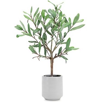 Potted Olive Leaf Topiary 17.5"h Polyester and Ceramic
