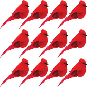 Realistic Red and Black Feather Design Perfect for Mantle, Bookshelf(Set of 12)