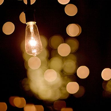 Pure Garden 14.5 ft. Edison Bulb Solar String Lights