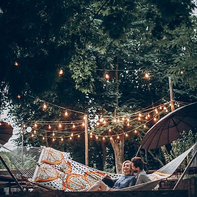 Pure Garden 14.5 ft. Edison Bulb Solar String Lights