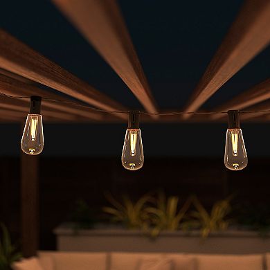 Pure Garden 14.5 ft. Edison Bulb Solar String Lights