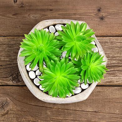 Pure Garden 200 Count Glow in the Dark Solar Pathway Garden Stones