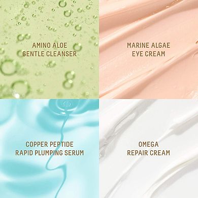 Plump + Hydrate Bestsellers Routine Set