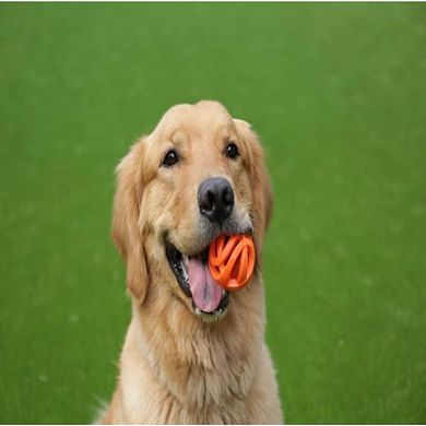 Chuckit Breathe Right Fetch Ball