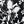Black Sketch Floral
