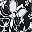 Black Sketch Floral