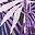 Purple Leaf Print