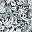 Black Paisley Floral