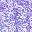 Dark Violet Paisley