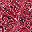 Paisley Print