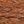 Red Brown