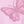 Butterfly Purple