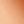 Rose Tone