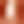 Rose Tone