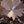 Simulated Morganite
