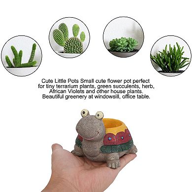 Garden Resin Turtle Shaped Plant Flower Pot Planter Colorful