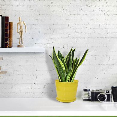 Round Shape Home Garden Plant Planter Flower Pot