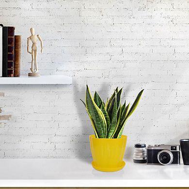 Plastic Petal Shaped Plant Planter Holder Flower Pot w Tray