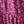 Periwinkle Raspberry