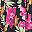 Black Multi Fun Floral