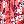 Sweet Coral Ditsy
