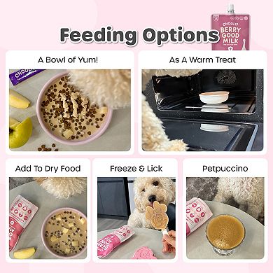 Choolip Berry Good Pet Milk - Vitamin-infused Milk for Cats and Dogs - Kidney, Urinary Supplement