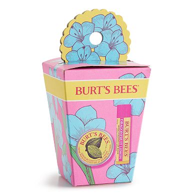 Burt's Bees Spring Surprise 2-pc. Gift Set