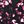 Berry Abstract Texture