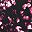 Berry Abstract Texture