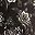 Black Porcelain Floral