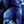 Blue Shadow Floral